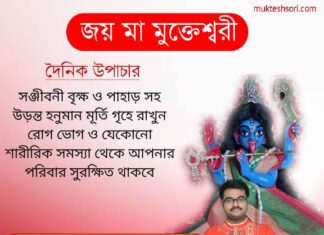 দৈনিক উপাচার : 11 ফেব্রুয়ারী 2022- জয় মা মুক্তেশ্বরী