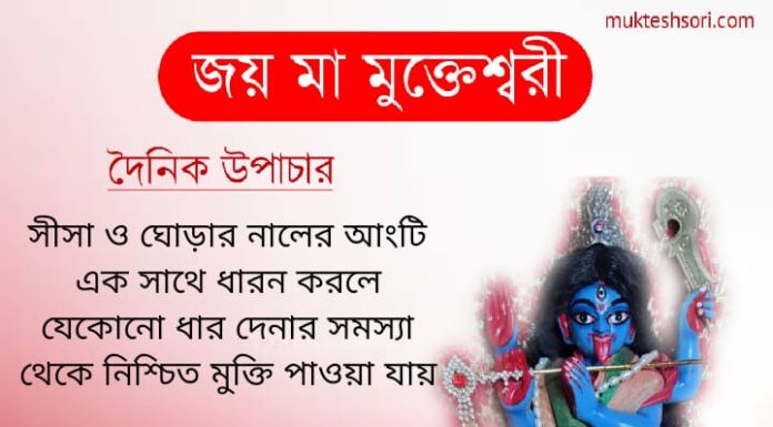 দৈনিক উপাচার : 19 ফেব্রুয়ারী 2022