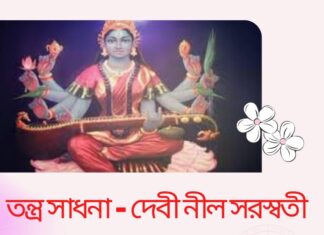 তন্ত্র সাধনা – দেবী নীল সরস্বতী