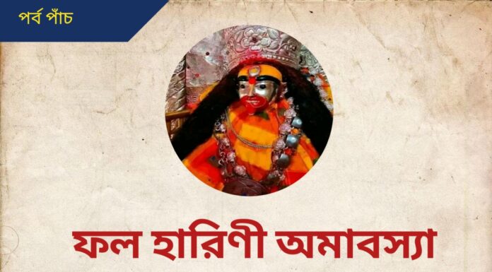 ফলহারিণী অমাবস্যা