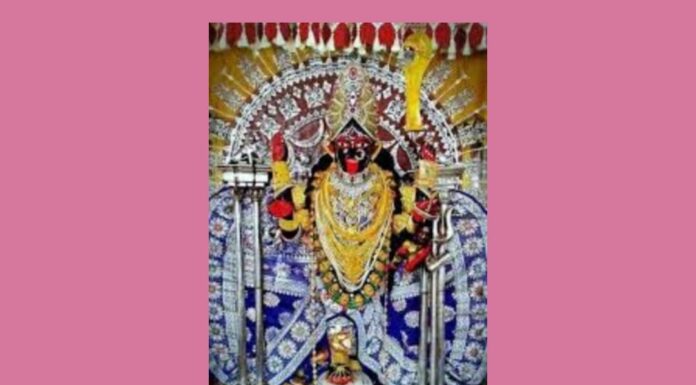 ফলহারিণী অমাবস্যা