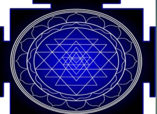 অমাবস্যা ও বিশেষ হোম যজ্ঞ