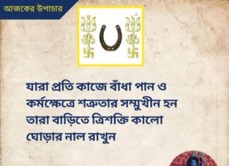 দৈনিক উপাচার : 8 জুলাই 2022 – জয় মা মুক্তেশ্বরী