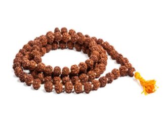 শ্রাবন মাস ও রুদ্রাক্ষ ধারন