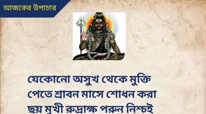 দৈনিক উপাচার : 30 জুলাই 2022 – জয় মা মুক্তেশ্বরী