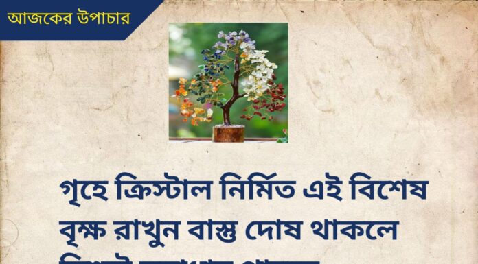 দৈনিক উপাচার : 10 আগস্ট 2022 – জয় মা মুক্তেশ্বরী