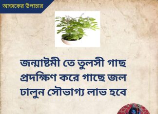 দৈনিক উপাচার : 19 আগস্ট 2022 – জয় মা মুক্তেশ্বরী