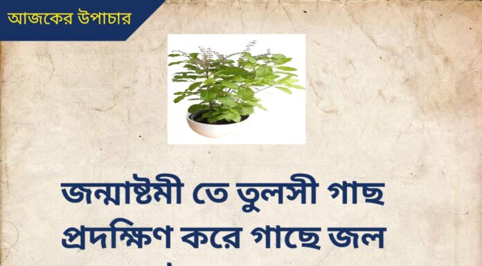 দৈনিক উপাচার : 19 আগস্ট 2022 – জয় মা মুক্তেশ্বরী