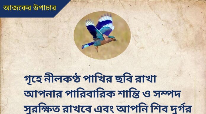 দৈনিক উপাচার : 21 সেপ্টেম্বর 2022 – জয় মা মুক্তেশ্বরী