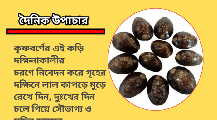 দৈনিক উপাচার : ১ ফেব্রুয়ারী ২০২৩ – জয় মা মুক্তেশ্বরী