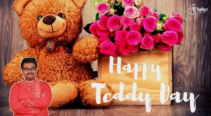 হ্যাপি টেডি বিয়ার ডে