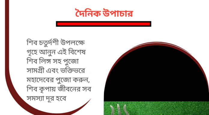 দৈনিক উপাচার : 11 ফেব্রুয়ারী 2023 – জয় মা মুক্তেশ্বরী