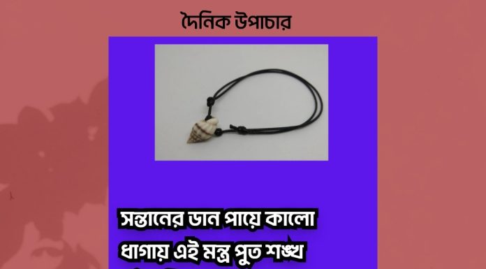 দৈনিক উপাচার : ২০ ফেব্রুয়ারী ২০২৩ – জয় মা মুক্তেস্বরী