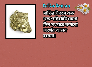 দৈনিক উপাচার : ১০ মার্চ ২০২৩ – জয় মা মুক্তেস্বরী