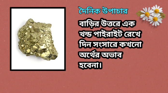 দৈনিক উপাচার : ১০ মার্চ ২০২৩ – জয় মা মুক্তেস্বরী