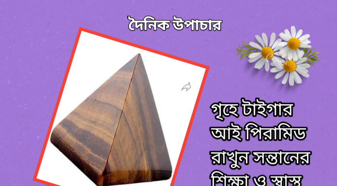 দৈনিক উপাচার : ১৩ মার্চ ২০২৩ – জয় মা মুক্তেস্বরী