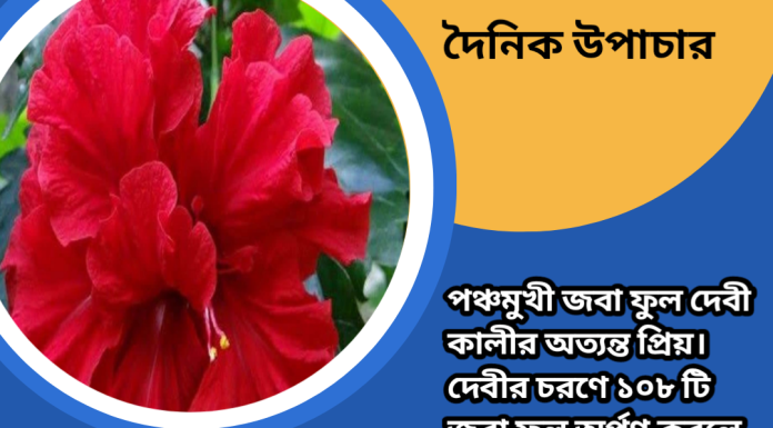 দৈনিক উপাচার : ৯ এপ্রিল ২০২৩ – জয় মা মুক্তেস্বরী