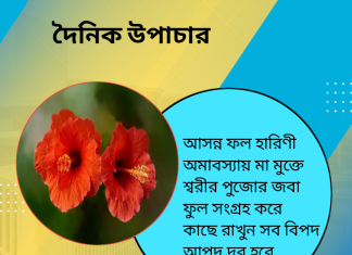 দৈনিক উপাচার : ১৫ মে ২০২৩ – জয় মা মুক্তেস্বরী