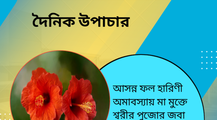 দৈনিক উপাচার : ১৫ মে ২০২৩ – জয় মা মুক্তেস্বরী