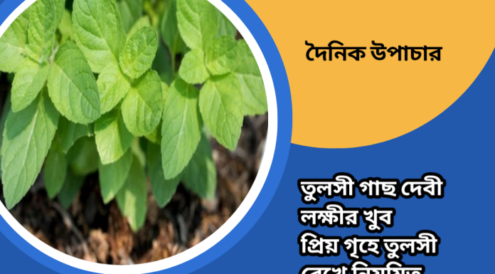 দৈনিক উপাচার : ২৭ মে ২০২৩ – জয় মা মুক্তেস্বরী