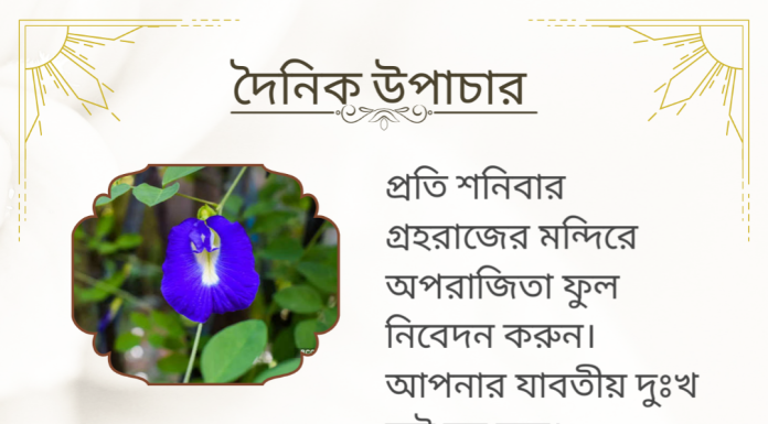 দৈনিক উপাচার : ৩১ মে ২০২৩ – জয় মা মুক্তেস্বরী