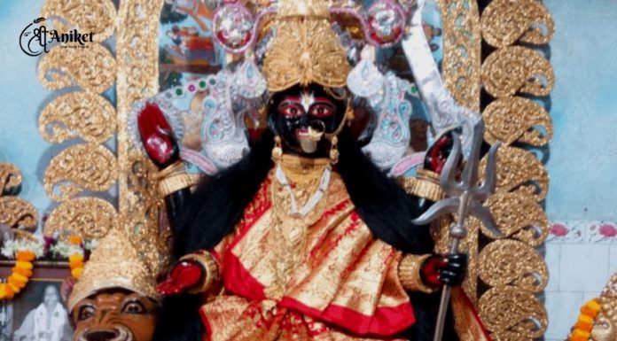 বিপদত্তারিনী পুজোর তাৎপর্য