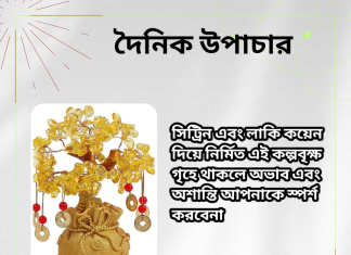 দৈনিক উপাচার : ১ জুলাই ২০২৩ – জয় মা মুক্তেস্বরী