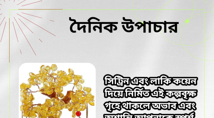 দৈনিক উপাচার : ১ জুলাই ২০২৩ – জয় মা মুক্তেস্বরী