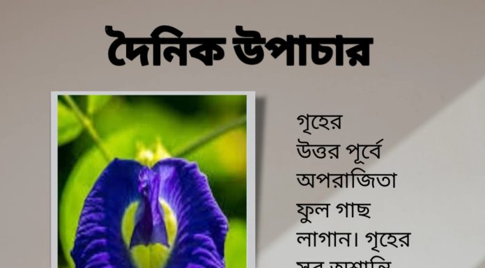 দৈনিক উপাচার : ১০ ই জুলাই ২০২৩ – জয় মা মুক্তেস্বরী