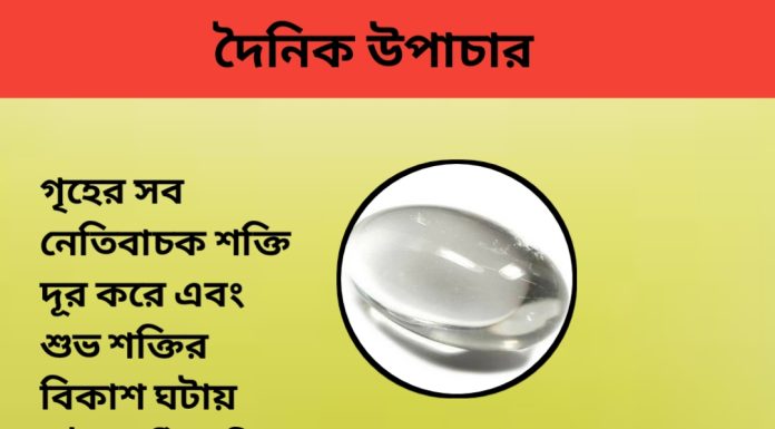 দৈনিক উপাচার : ১০ আগস্ট ২০২৩ – জয় মা মুক্তেস্বরী