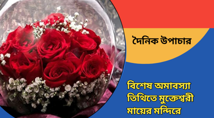 দৈনিক উপাচার : ১৬ আগস্ট ২০২৩ – জয় মা মুক্তেস্বরী