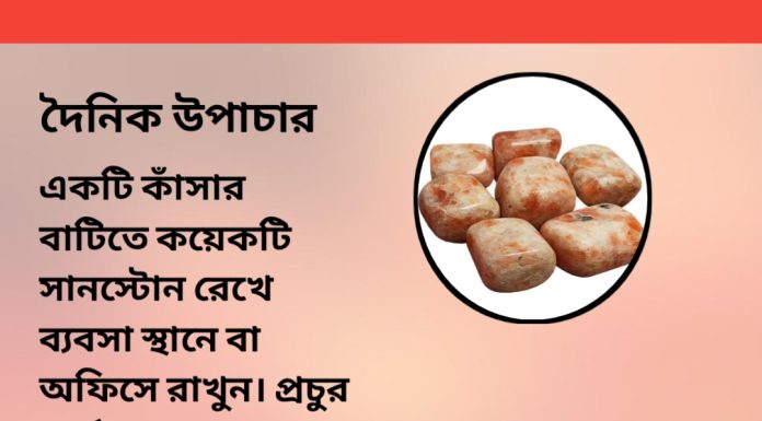 দৈনিক উপাচার : ২৯ আগস্ট ২০২৩ – জয় মা মুক্তেস্বরী