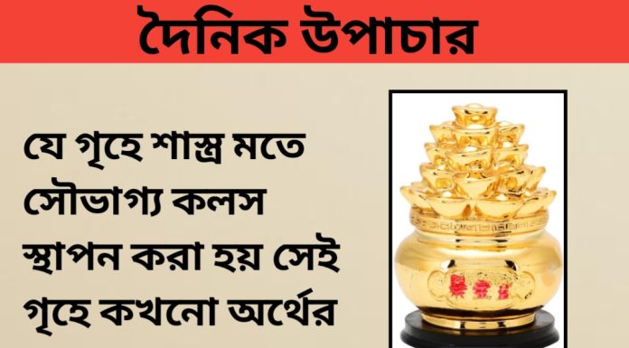 দৈনিক উপাচার : ২ সেপ্টেম্বর ২০২৩ – জয় মা মুক্তেস্বরী