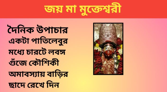 দৈনিক উপাচার : ১৩ সেপ্টেম্বর ২০২৩ – জয় মা মুক্তেস্বরী