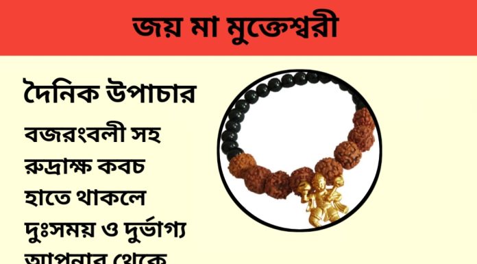 Today’s tips: 8 October 2023