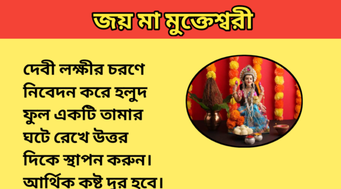 দৈনিক উপাচার : ২৮ অক্টোবর ২০২৩ – জয় মা মুক্তেস্বরী