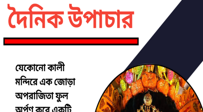 দৈনিক উপাচার : ২৯ অক্টোবর ২০২৩ – জয় মা মুক্তেস্বরী