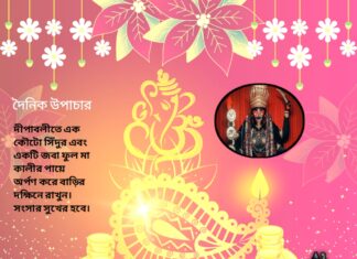 দৈনিক উপাচার : ১২ নভেম্বর ২০২৩