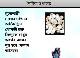 দৈনিক উপাচার : ২০ নভেম্বর ২০২৩ – জয় মা মুক্তেস্বরী