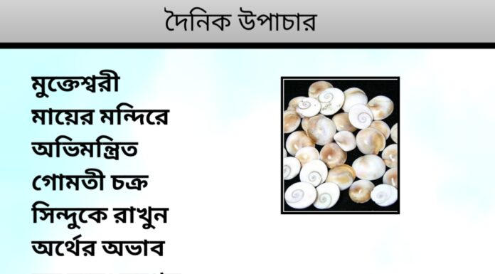 দৈনিক উপাচার : ২০ নভেম্বর ২০২৩ – জয় মা মুক্তেস্বরী