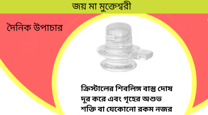 দৈনিক উপাচার : ৫ ডিসেম্বর ২০২৩ – জয় মা মুক্তেস্বরী