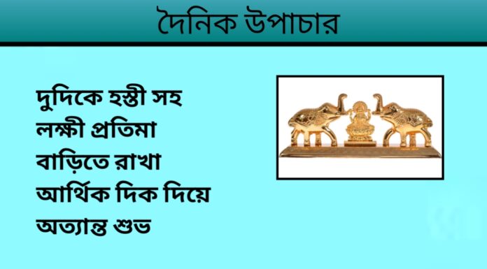 দৈনিক উপাচার : ১২ ডিসেম্বর ২০২৩ – জয় মা মুক্তেস্বরী