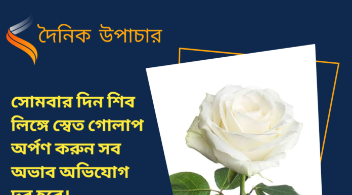 দৈনিক উপাচার : ১৮ ডিসেম্বর ২০২৩ – জয় মা মুক্তেস্বরী