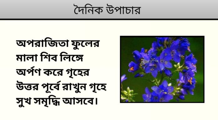 দৈনিক উপাচার : ২২ ডিসেম্বর ২০২৩ – জয় মা মুক্তেস্বরী