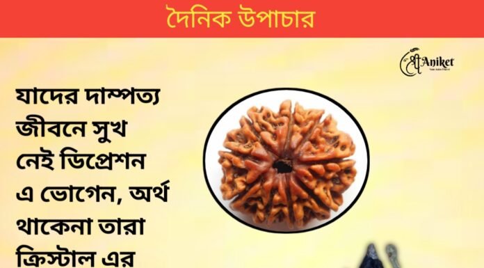 দৈনিক উপাচার : ২৯ ডিসেম্বর ২০২৩ – জয় মা মুক্তেস্বরী