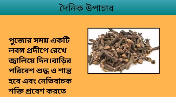 দৈনিক উপাচার : ১২ জানুয়ারি ২০২৪ – জয় মা মুক্তেস্বরী