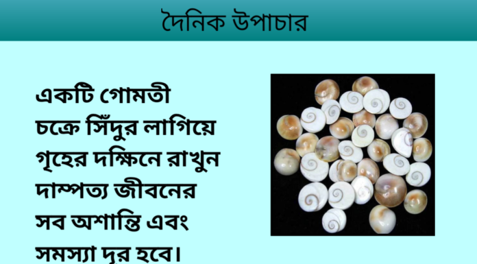 দৈনিক উপাচার : ১৬ জানুয়ারি ২০২৪ – জয় মা মুক্তেস্বরী