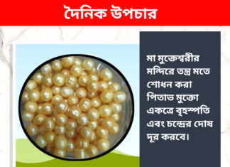 দৈনিক উপাচার : ২৫ জানুয়ারি ২০২৪ – জয় মা মুক্তেস্বরী