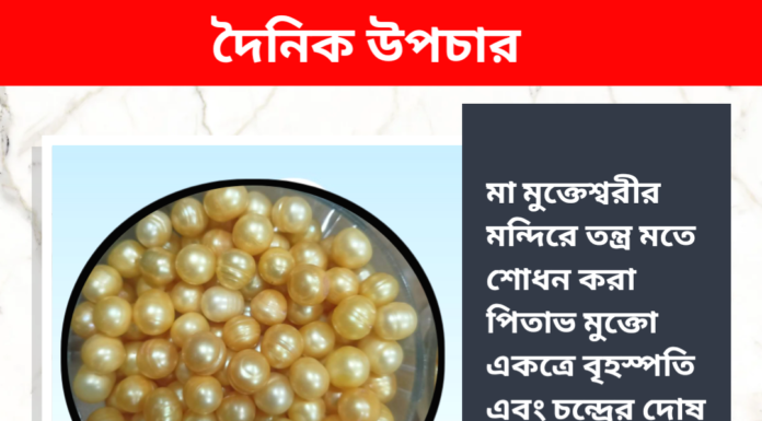 দৈনিক উপাচার : ২৫ জানুয়ারি ২০২৪ – জয় মা মুক্তেস্বরী