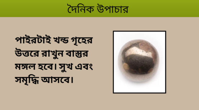 দৈনিক উপাচার : ৩০ জানুয়ারি ২০২৪ – জয় মা মুক্তেস্বরী